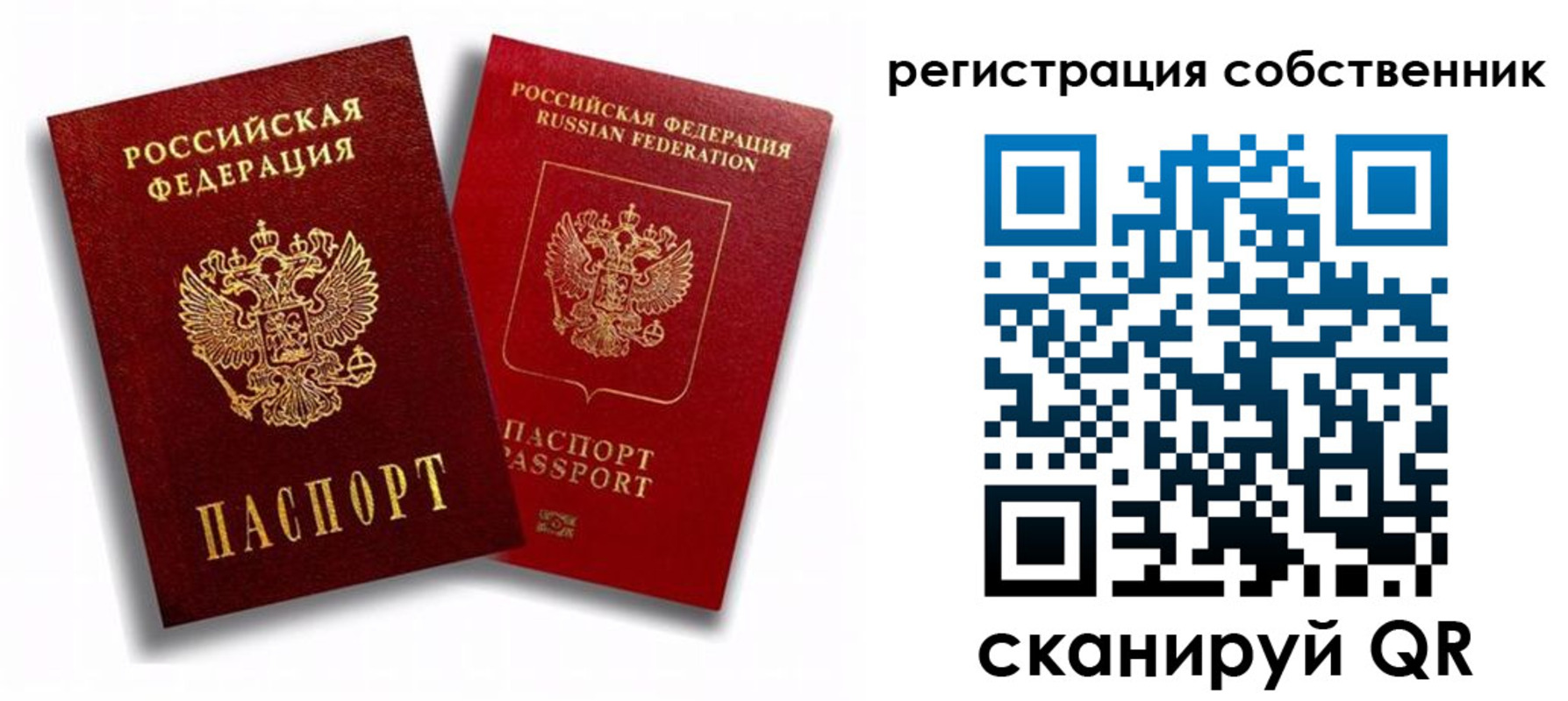 прописка штамп в Димитровграде